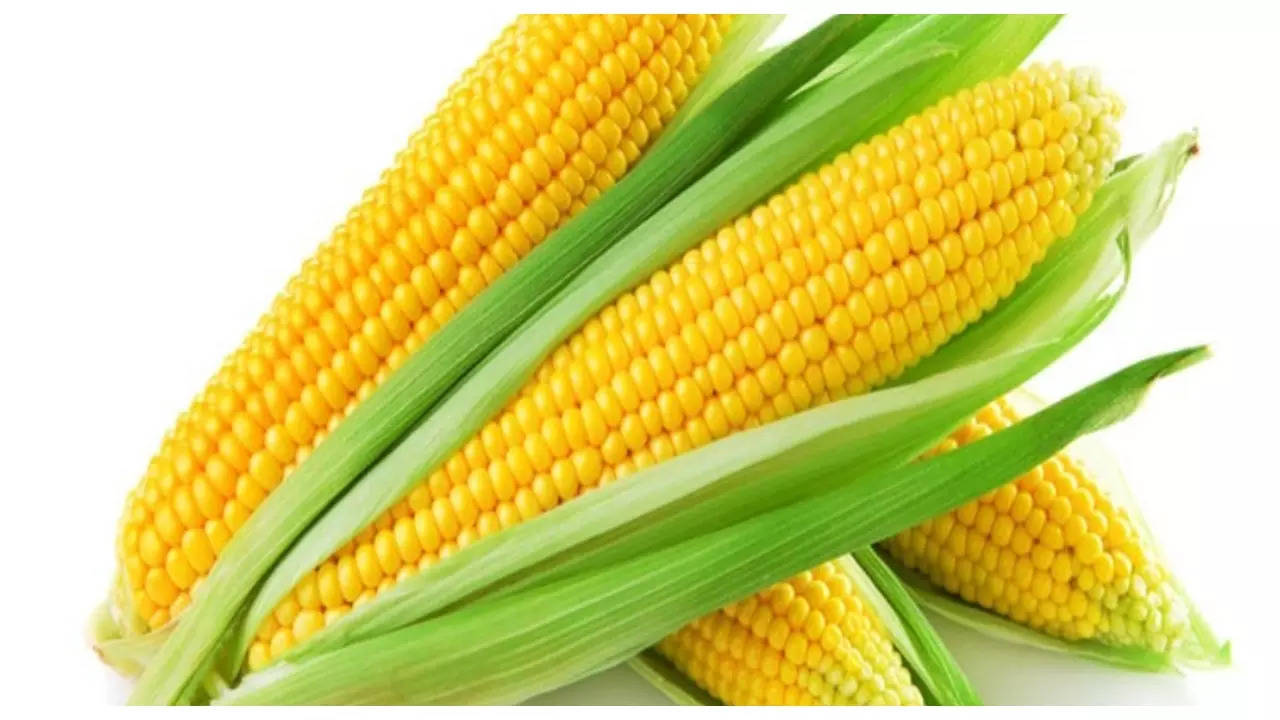 10 lesser known health benefits of corn