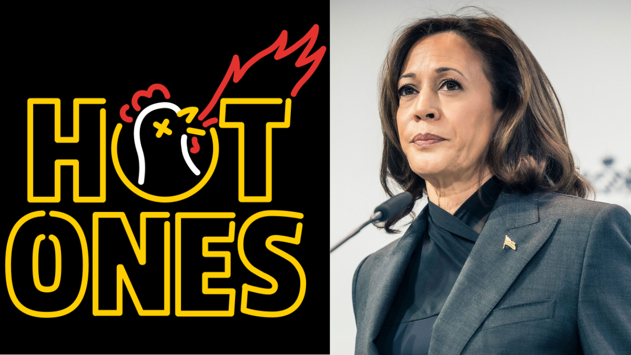 Kamala Harris presidential campaign hit a roadblock when internet show 'Hot Ones' declined interview request