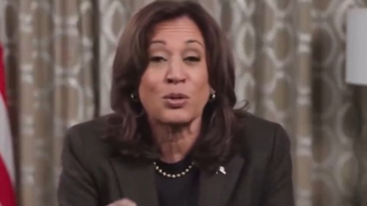 Kamala Harris called a 'functioning alcoholic', 'broken' as she drops new video