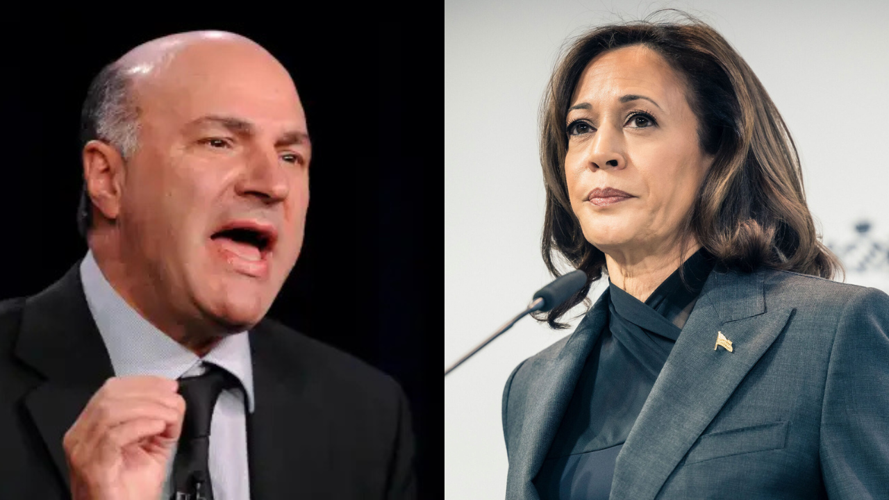 Millionaire Shark Tank judge calls Harris a 'complete loser'