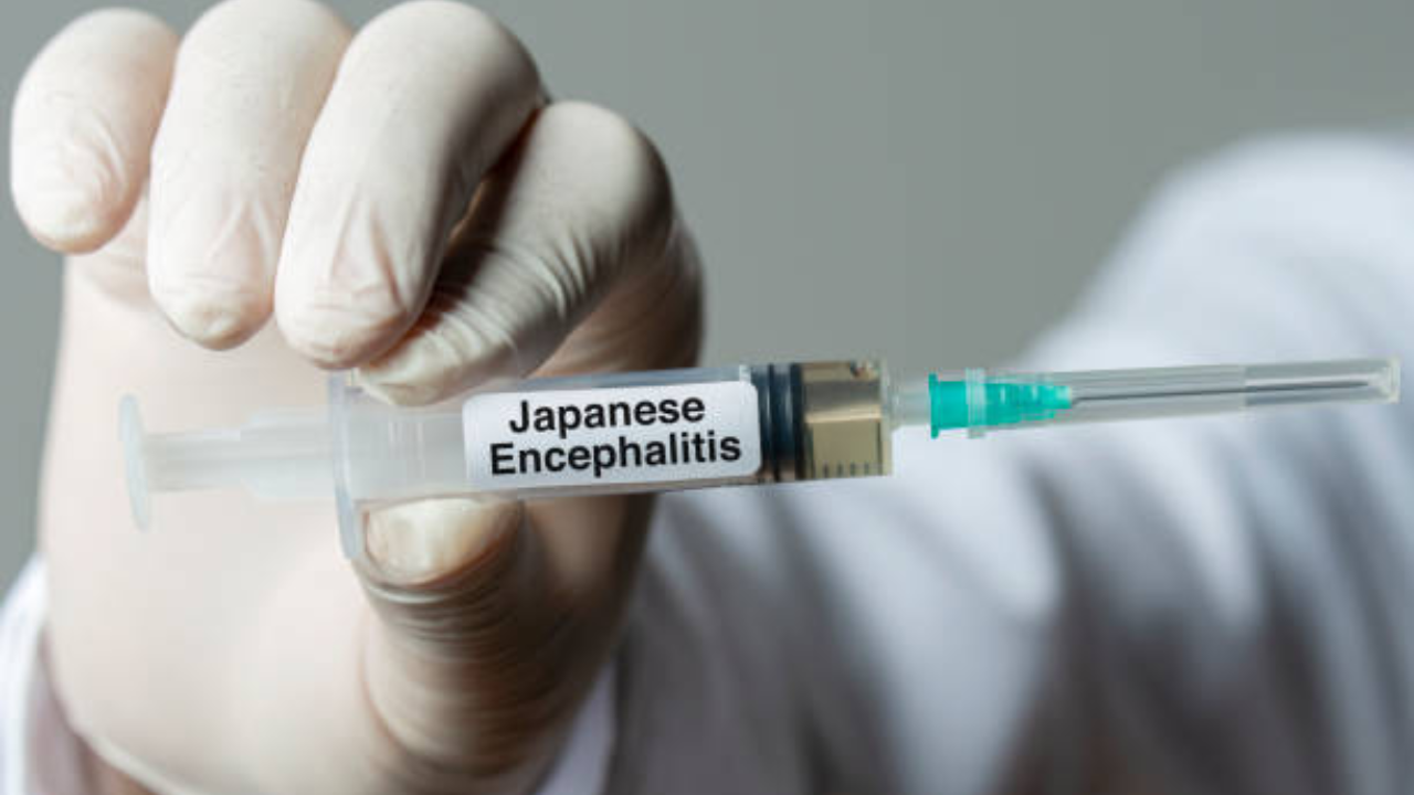 Deadly mosquito borne disease Japanese Encephalitis in Delhi