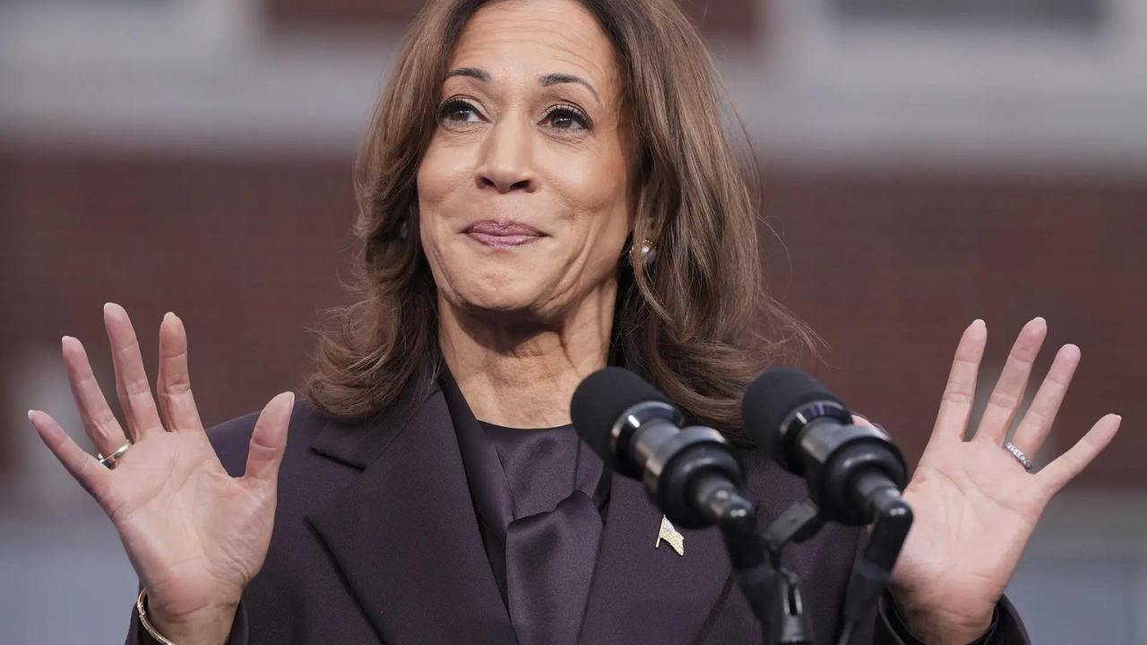 Poll guru Nate Silver slams Kamala Harris' campaign for blaming hurricane Helene for election defeat