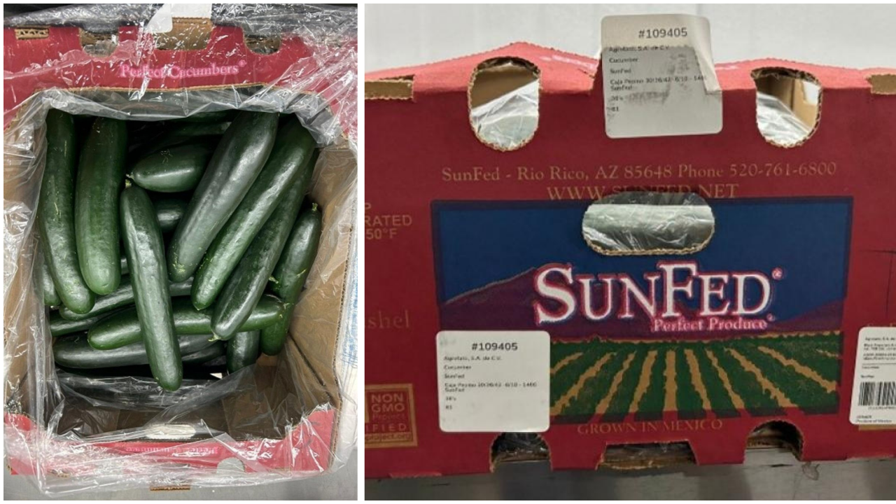 Cucumbers recalled due to salmonella risk in multiple US states and Canada