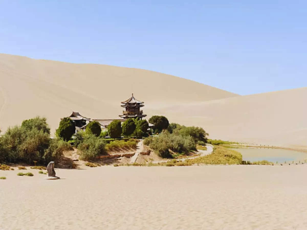 China’s Great Green Wall: 46 years of planting trees around Taklamakan Desert