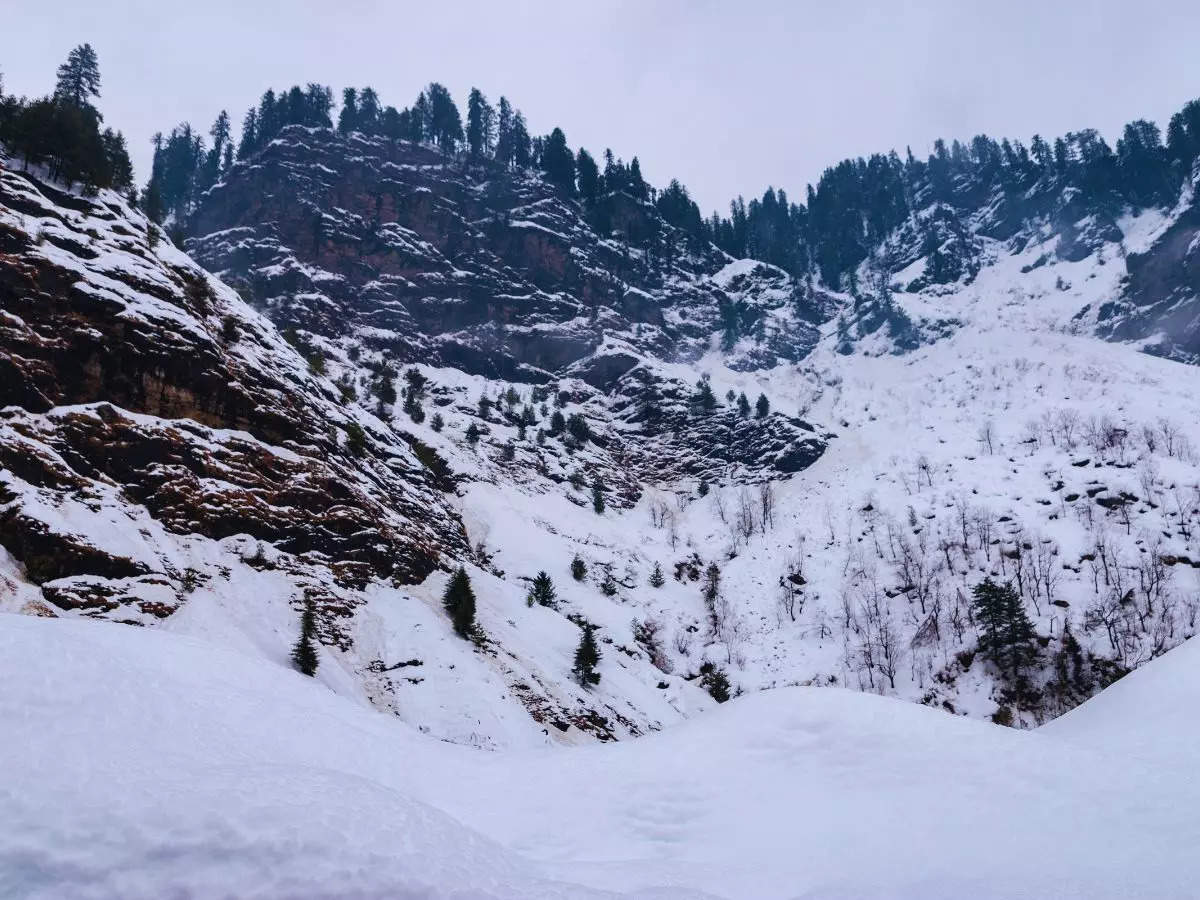 Kashmir experiences fresh spell on snowfall; all tourist hotspots turns into snowland