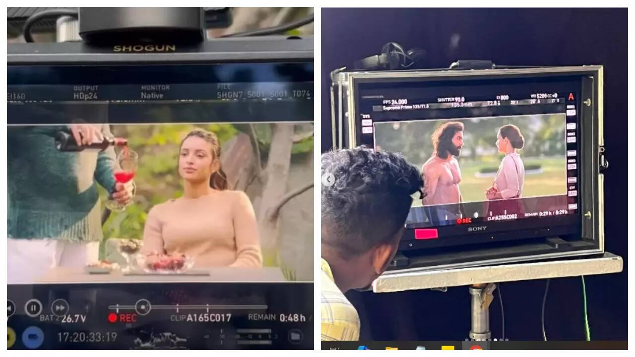 Triptii Dimri shares UNSEEN BTS pics from Animal set