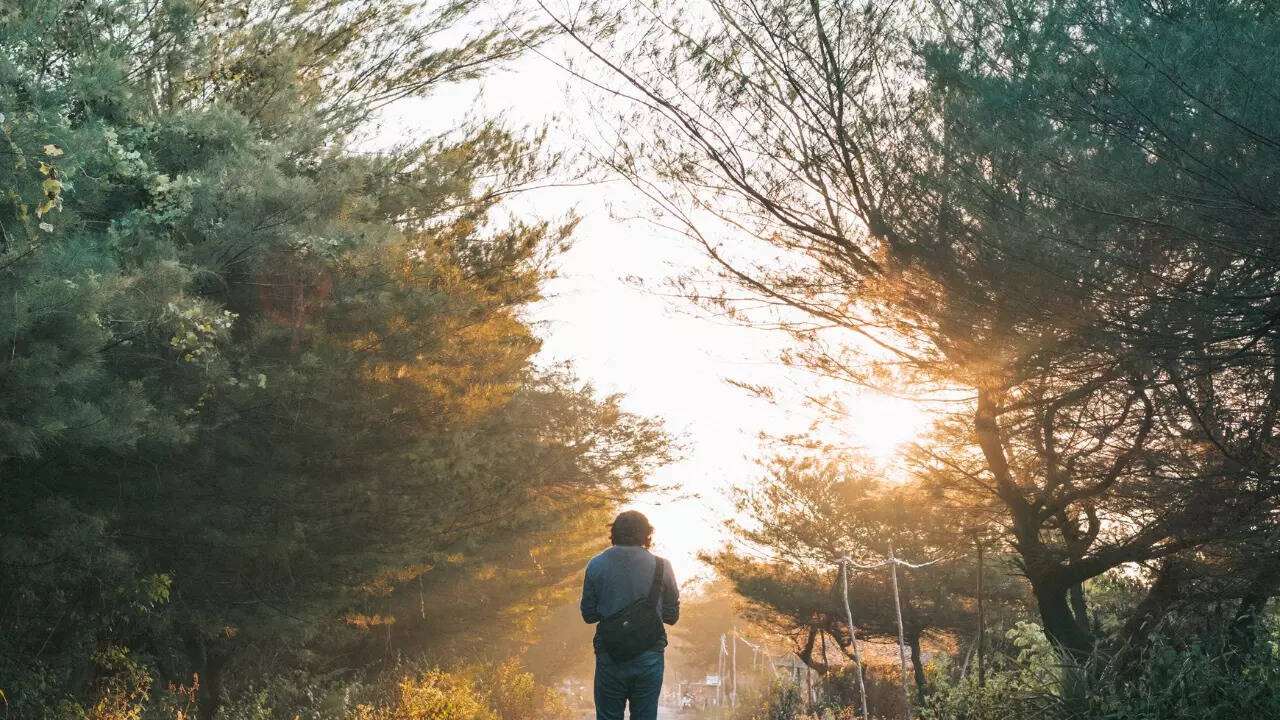 5 reasons to take a fart walk after every meal