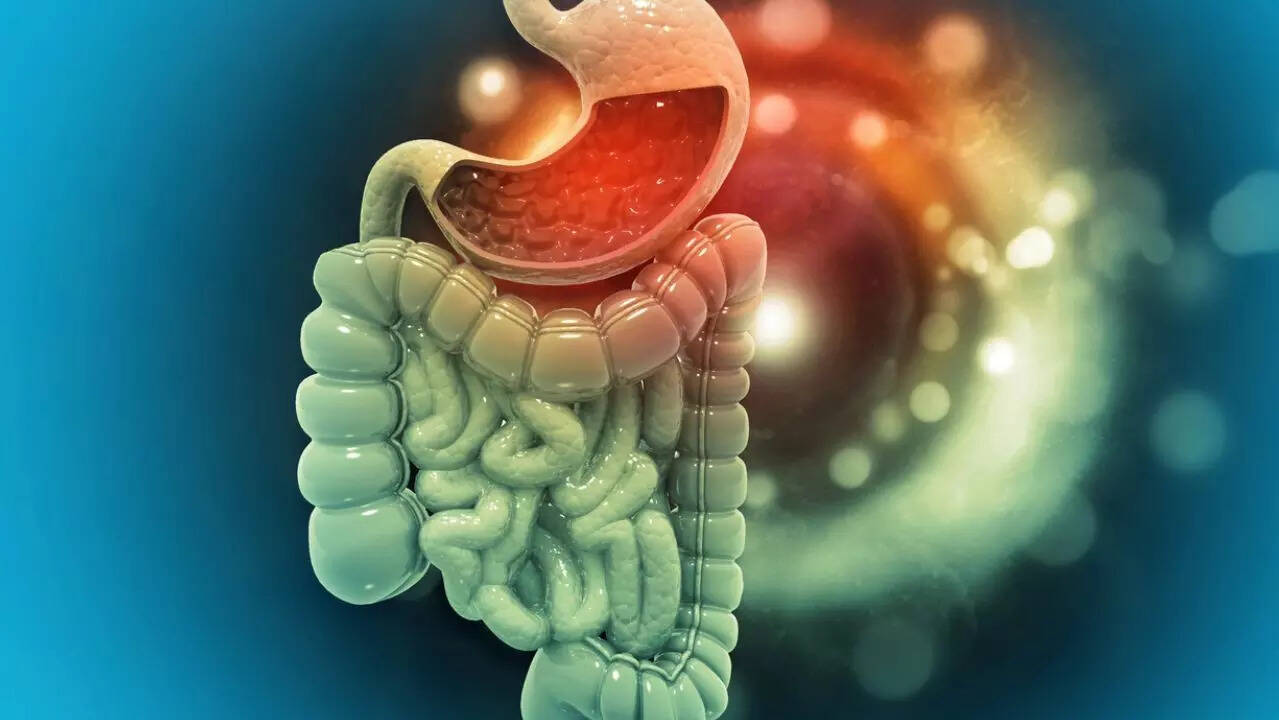 gut health 2