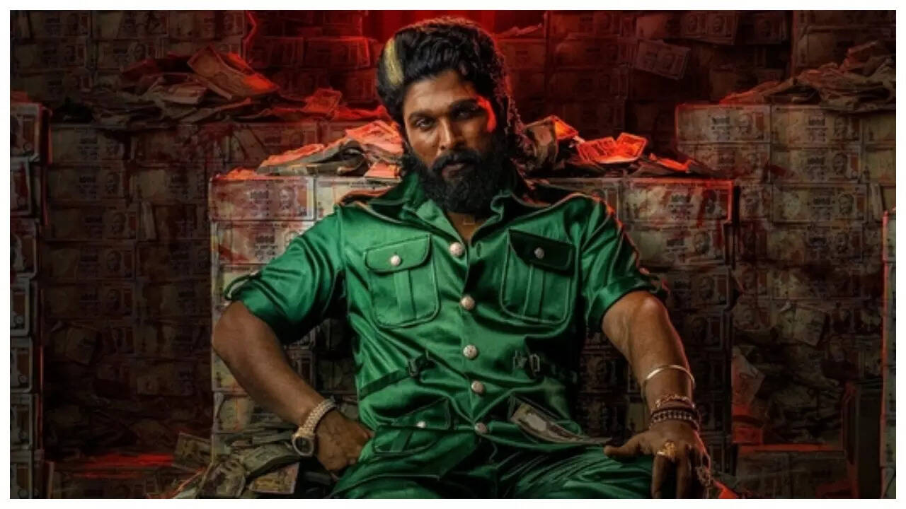 Pushpa 2 faces legal petition over hiked ticket prices