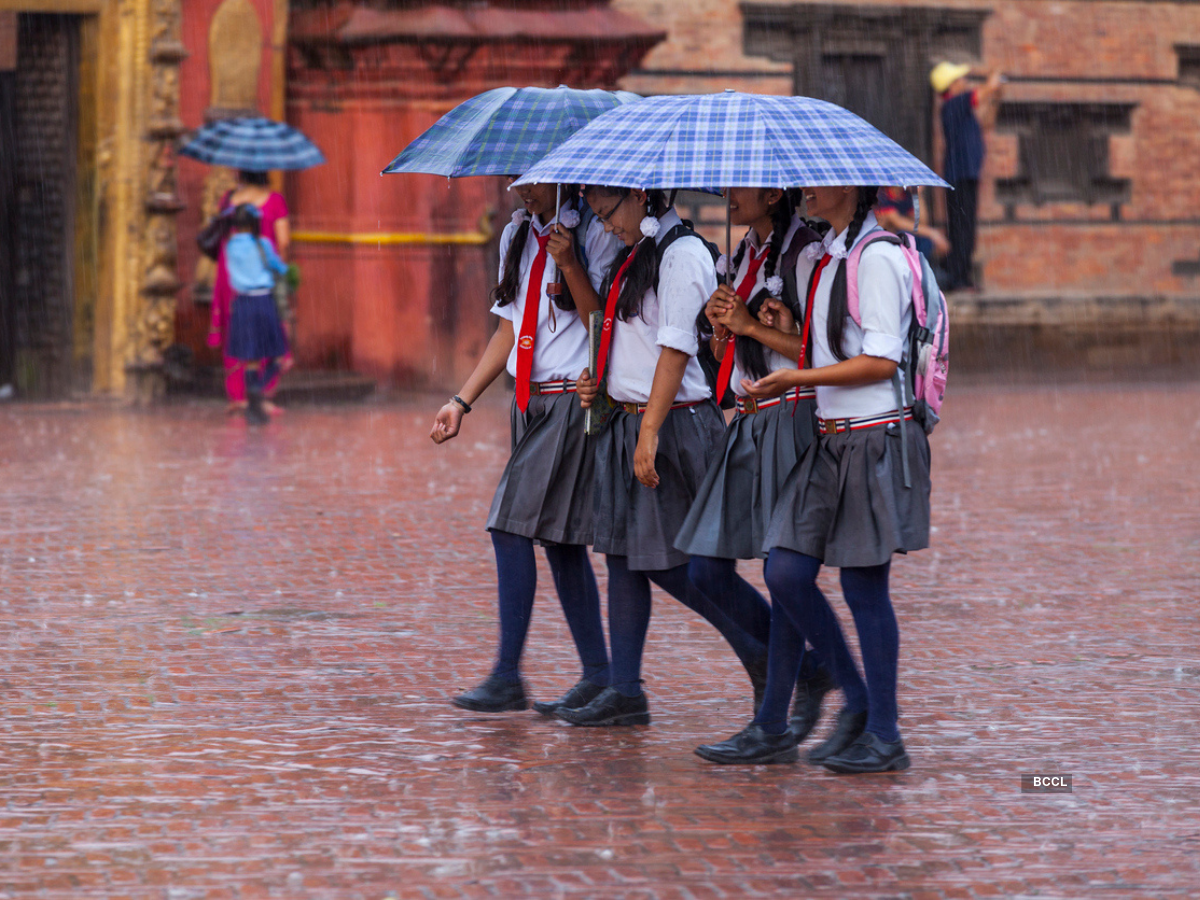 Bangalore schools to remain open amid yellow alert due to Cyclone Fengal: Heavy rainfall pushes netizens to demand holiday for students