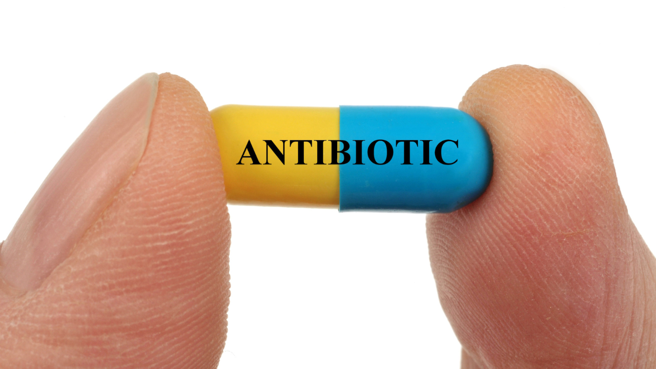 India develops more potent Antibiotic that provides eight times higher efficacy than azithromycin