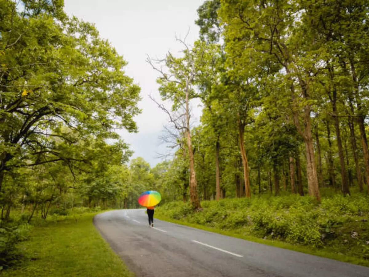7 best reasons to visit Bandipur National Park in Karnataka