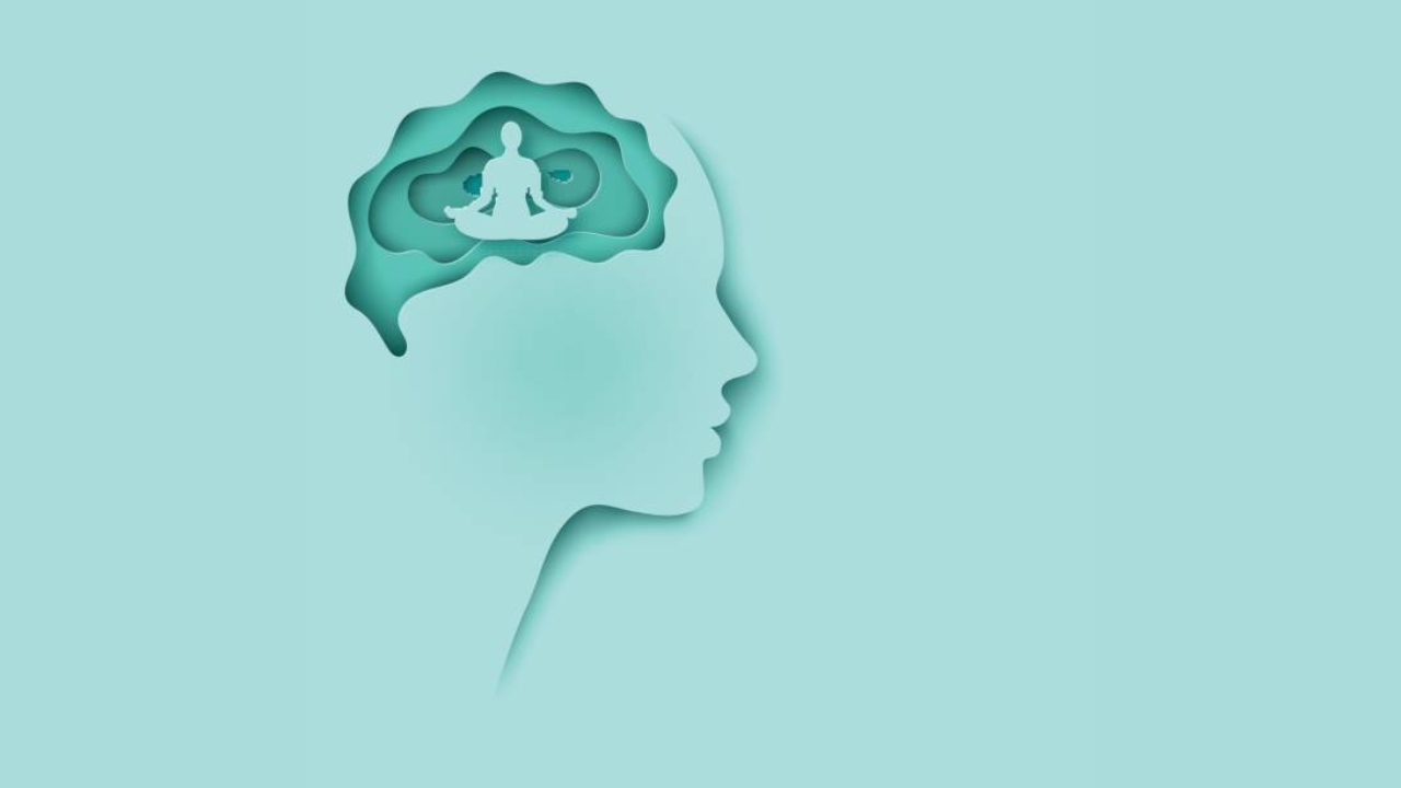 brain (18)