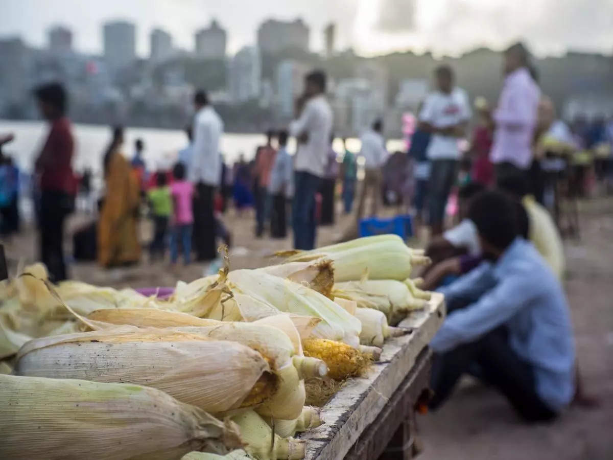 Mumbai wakes up to the coldest December in 8 years with temperatures dipping to 13.7°C