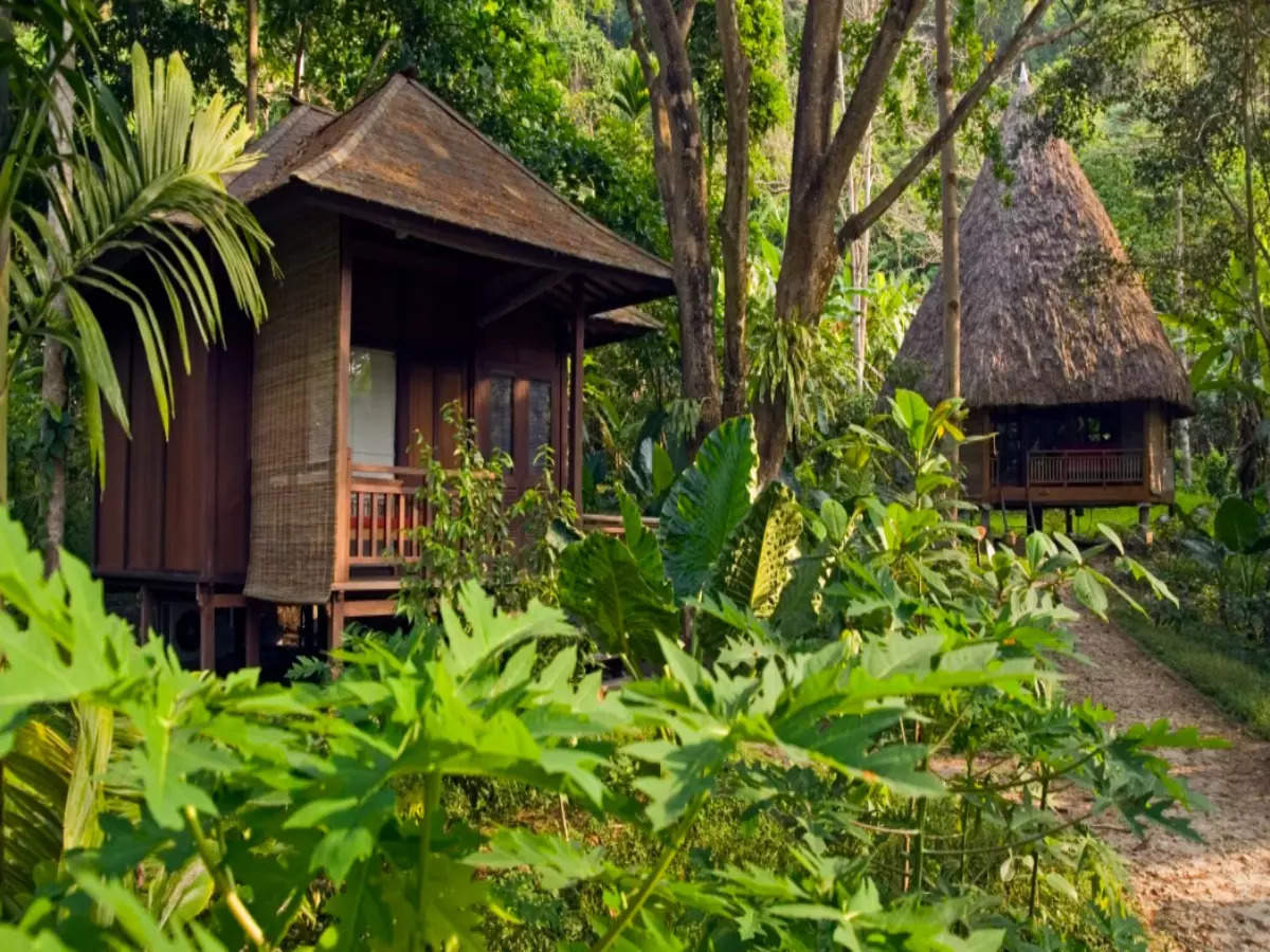 Responsible Travel: 6 eco-friendly resorts in India that are inspiring travellers every day