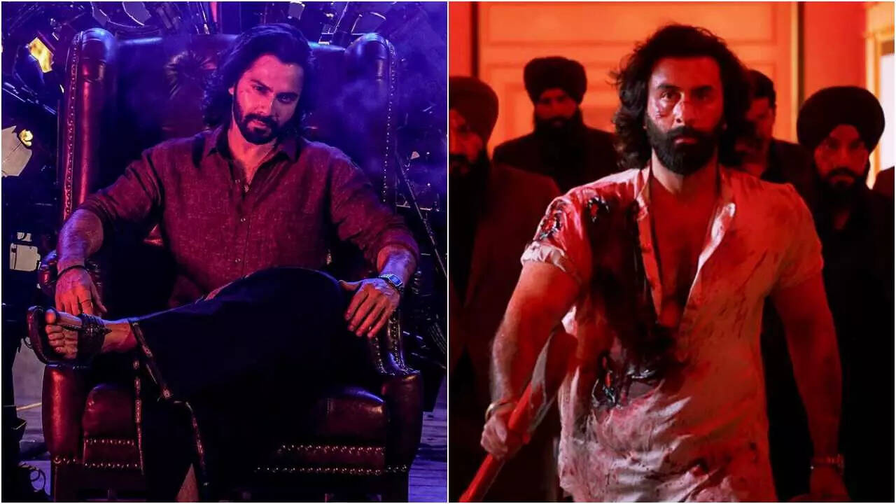 Varun on taking up a role like Ranbir's in Animal