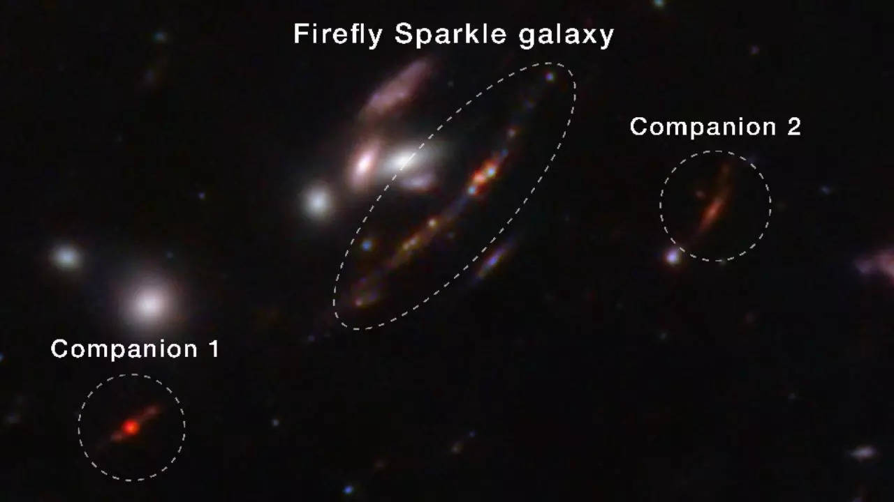 'Firefly Sparkle': Nasa's James Webb telescope finds tiny Milky Way-like galaxy