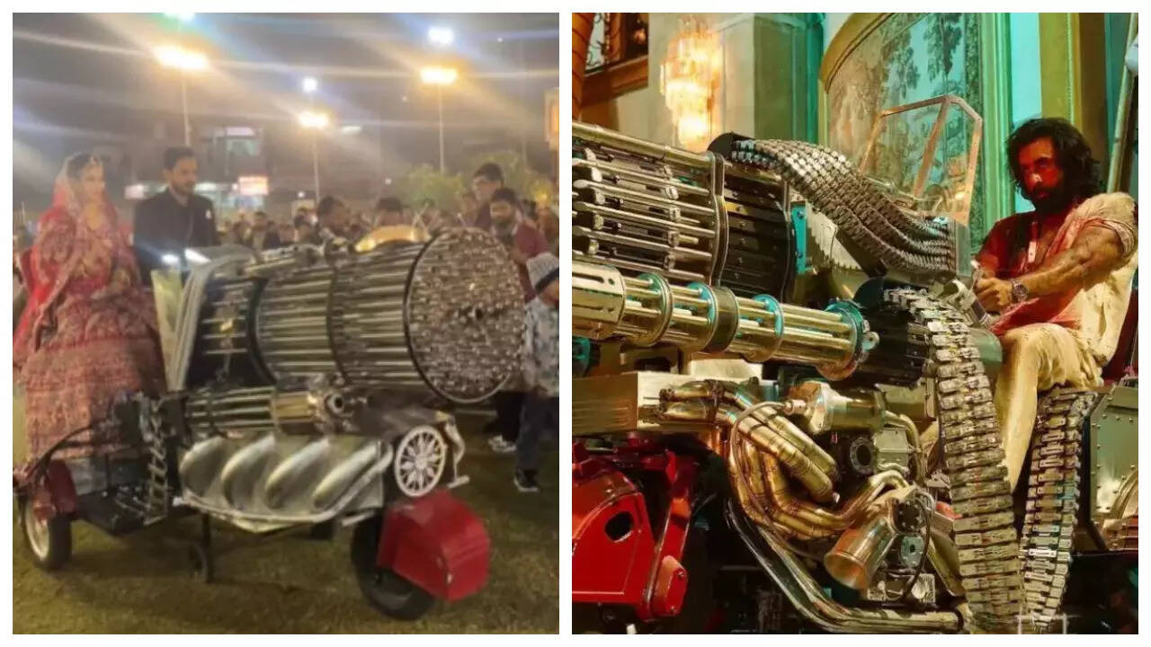 Netizens REACT to couple's Animal style wedding entry