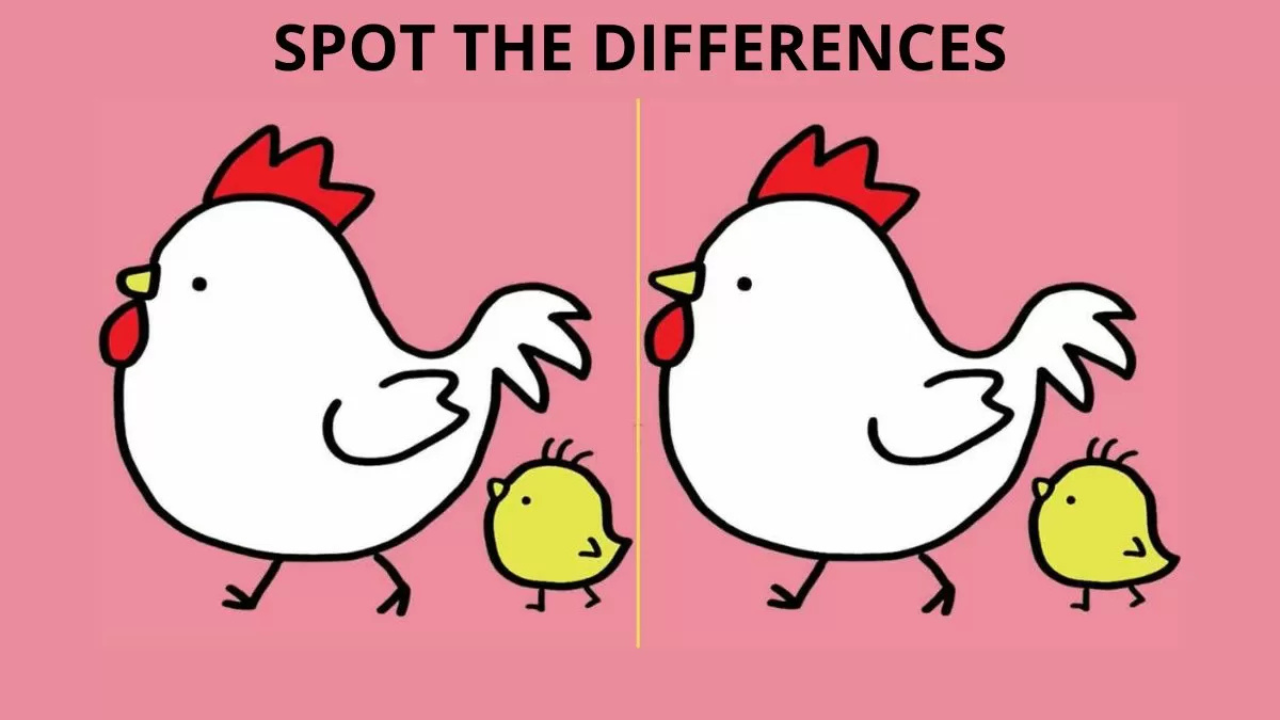 Find the Difference: Only a real sharp-eyed person can spot 3 differences in this hen and chick picture