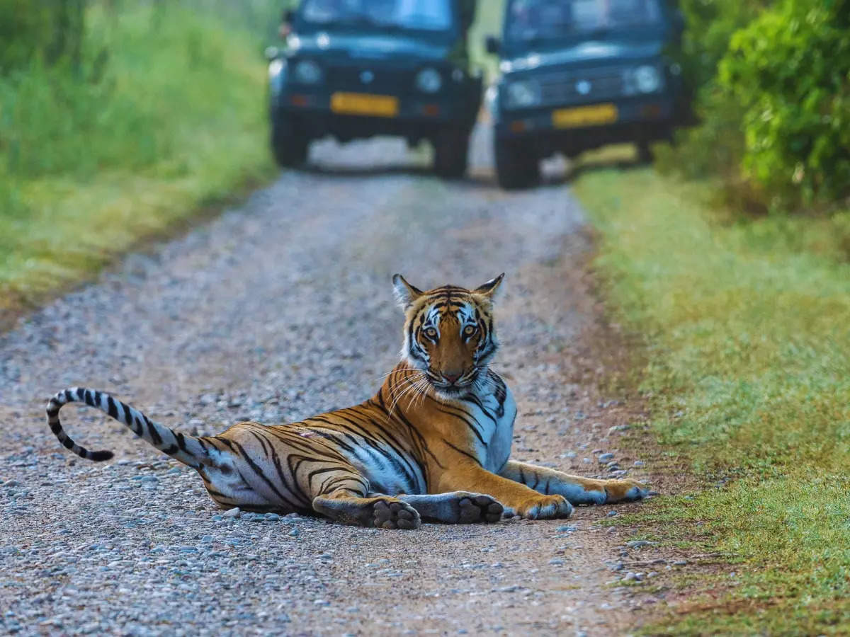 10 stunning photos from Jim Corbett National Park you need to see right now