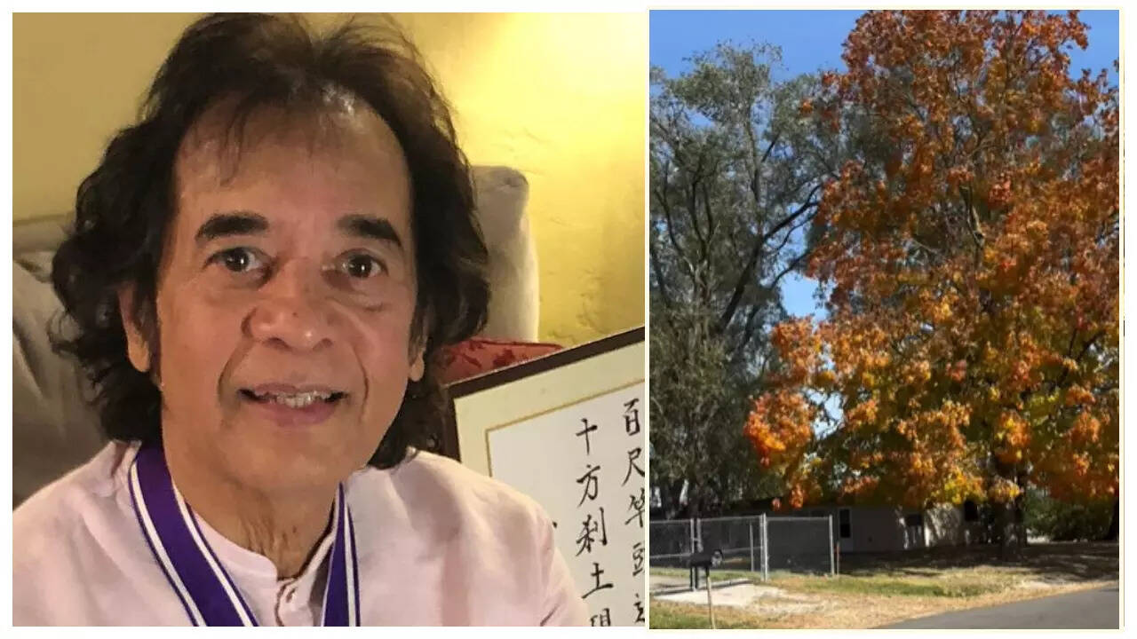 Zakir Hussain’s FINAL Insta post goes viral