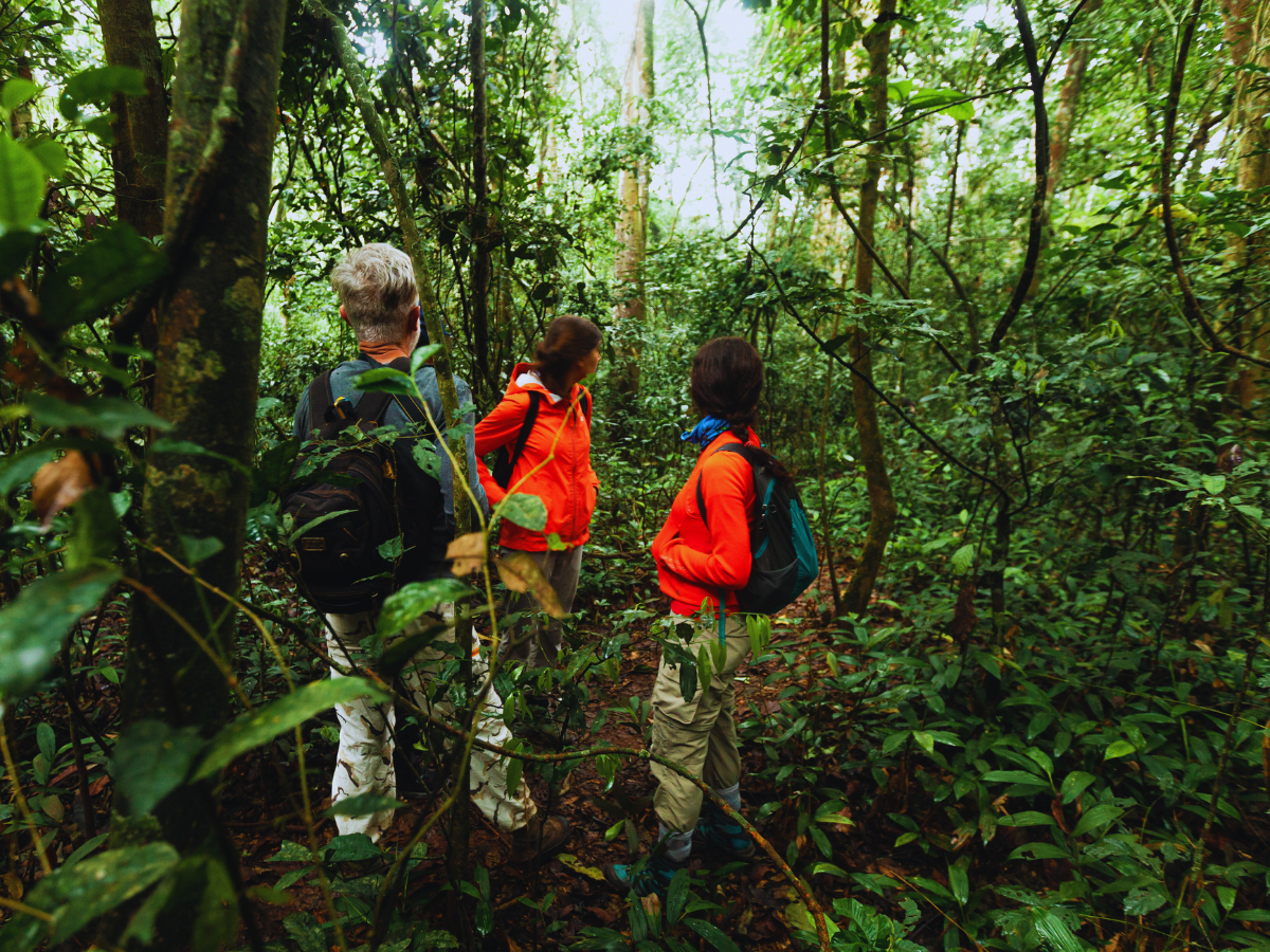 5 eco-friendly travel destinations in Europe that are a must-visit
