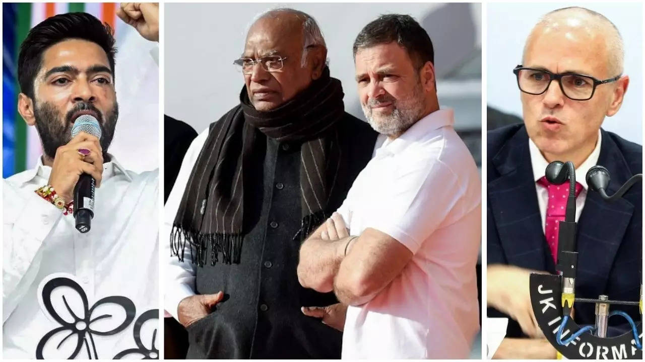 After Rahul vs Mamata leadership tussle, it is now EVM divide in opposition INDIA bloc