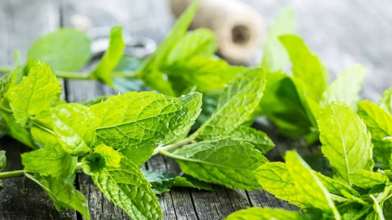 Peppermint