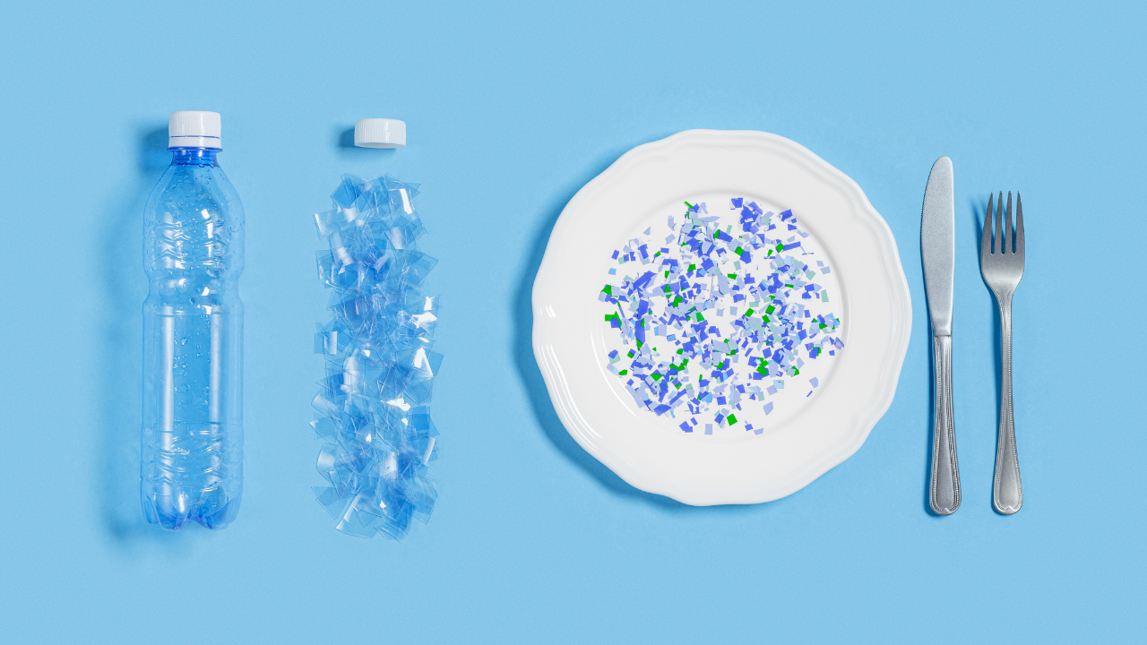 How exactly do microplastics end up in our bloodstream