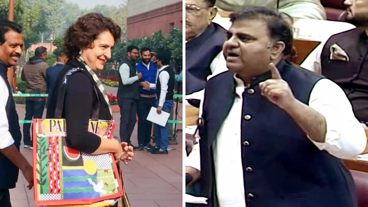 ‘Stood tall amidst pigmies’: Ex-Pak minister lauds Priyanka for Palestine bag