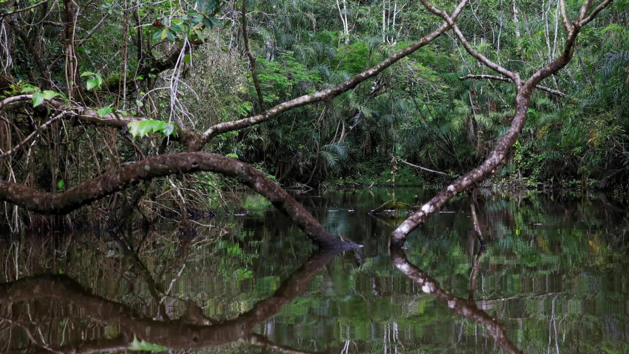 Ecuador completes $1.5 billion debt swap for Amazon conservation