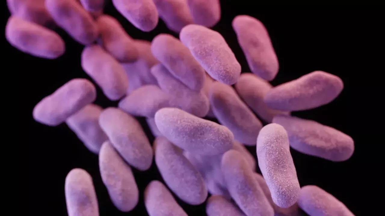 Superbug (1)