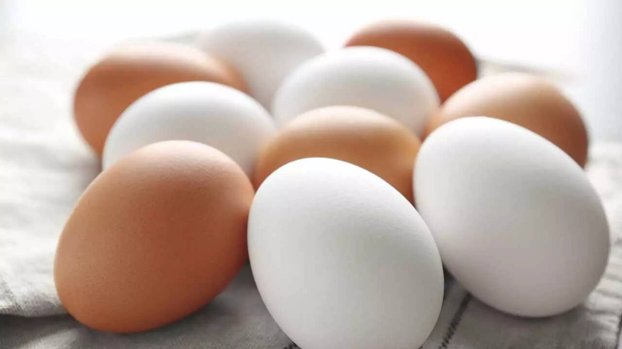 eggs