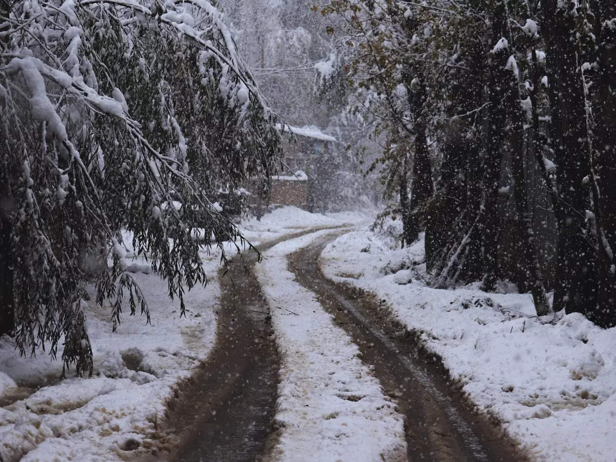 Kashmir winter advisory: Kashmir braces for Chillai-Kalan as Srinagar records season's coldest night