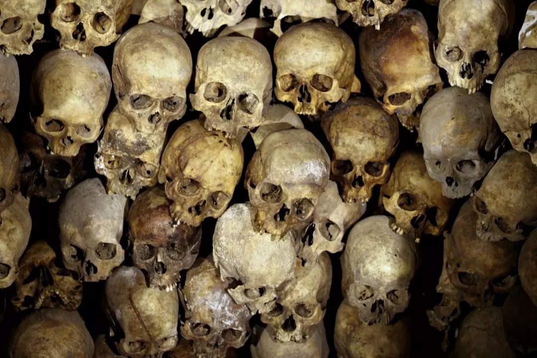 Kolkata’s dark past when it exported thousands of human skeletons!