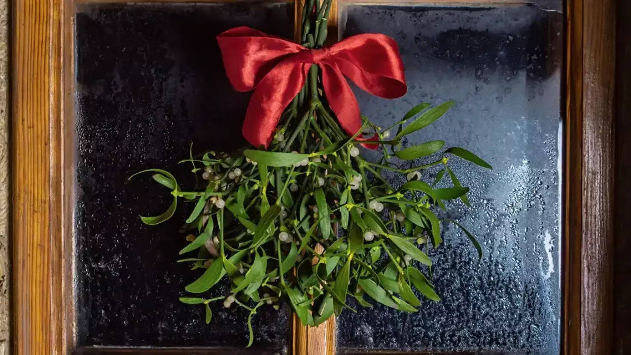 Mistletoe (1)