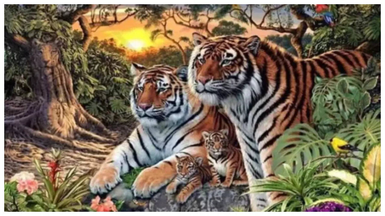 Optical illusion: Only those with 20/20 vision can spot the 16 tigers in this image