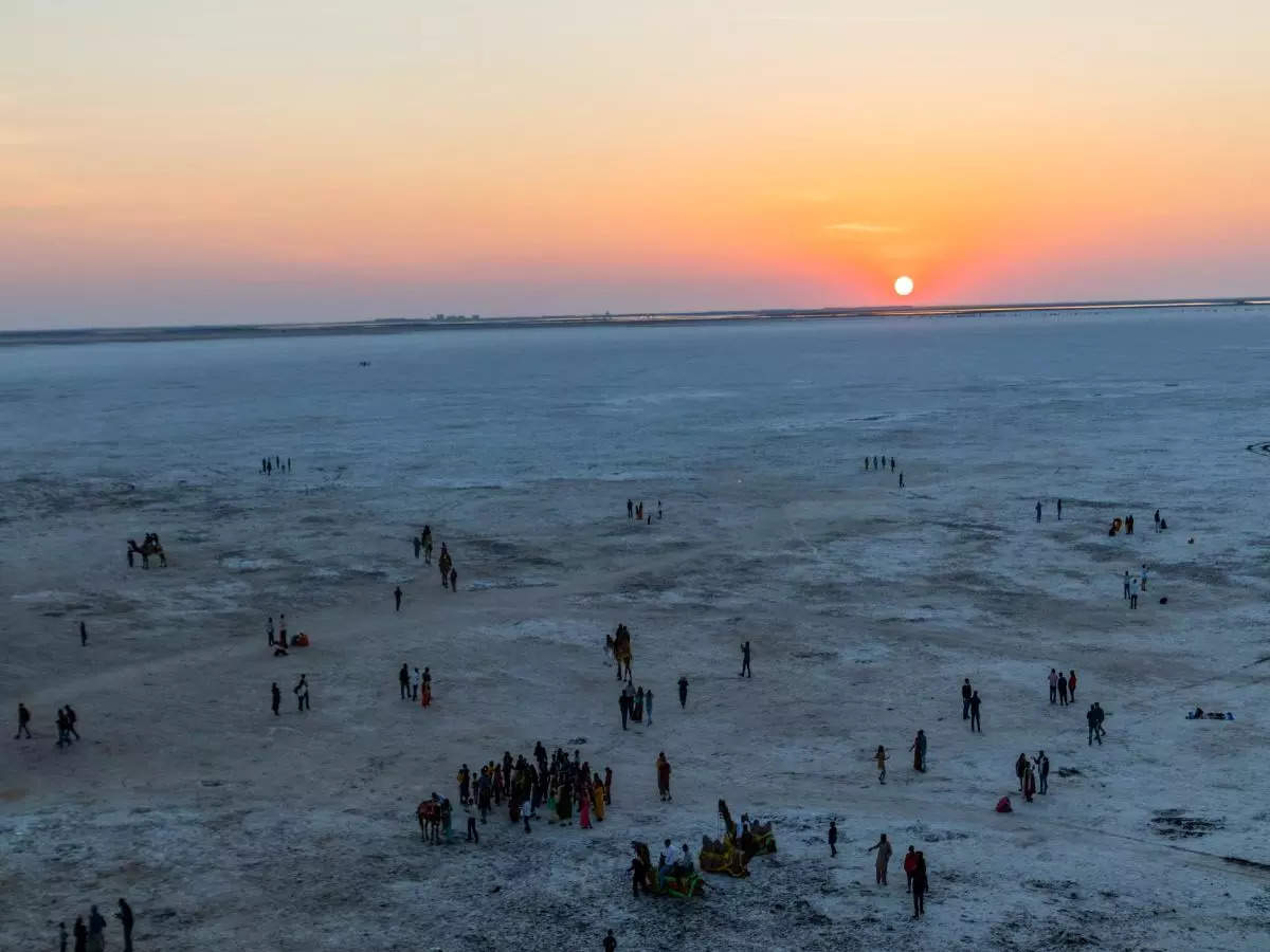 The Great Rann of Kutch in winters: Wildlife and other wonders for the itinerary