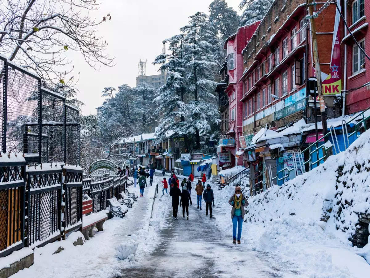 Winter wonders: 5 unmissable experiences in India this season