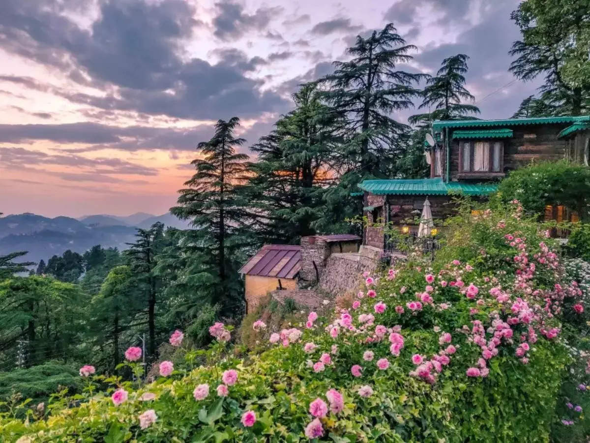 8 irresistible reasons to fall in love with Landour in Uttarakhand