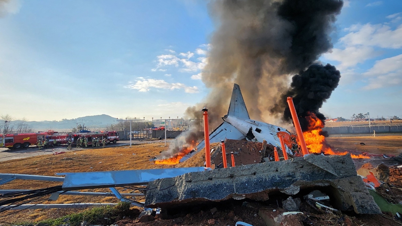 ‘Control tower sent warning of bird strike’: What caused South Korea plane crash