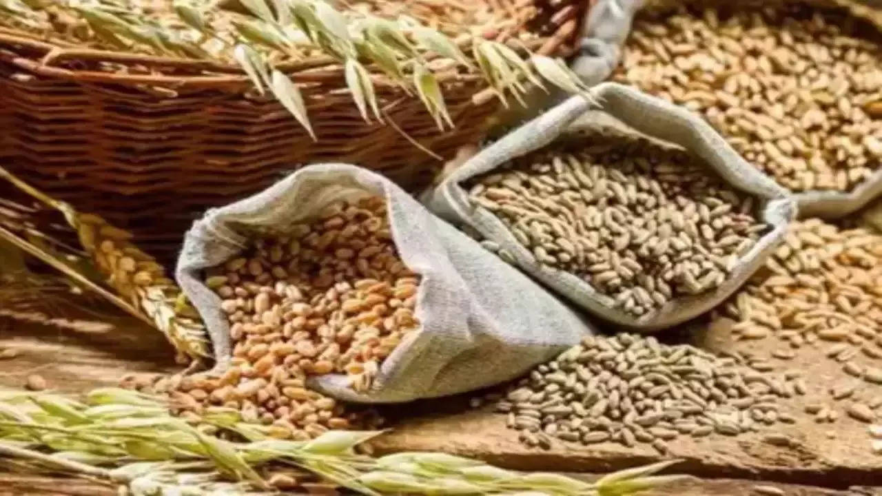 The Headlines – Foodgrain output set to scale new peak in 2025 as farm sector eyes 4% growth