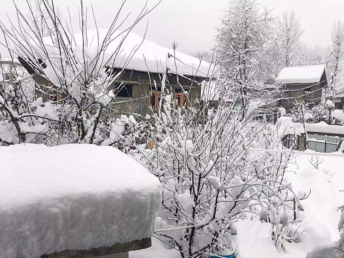 Kashmir University Postpones Exams Due to Heavy Snowfall