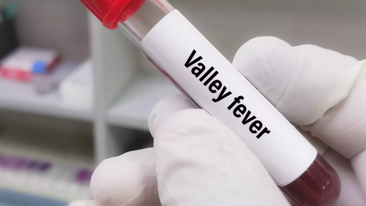 valley