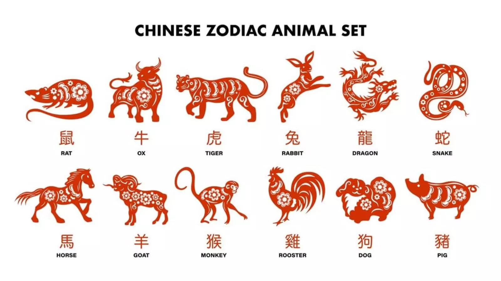 Monthly Chinese Horoscope for January 2025: New Energy, Opportunities for All Zodiac Signs