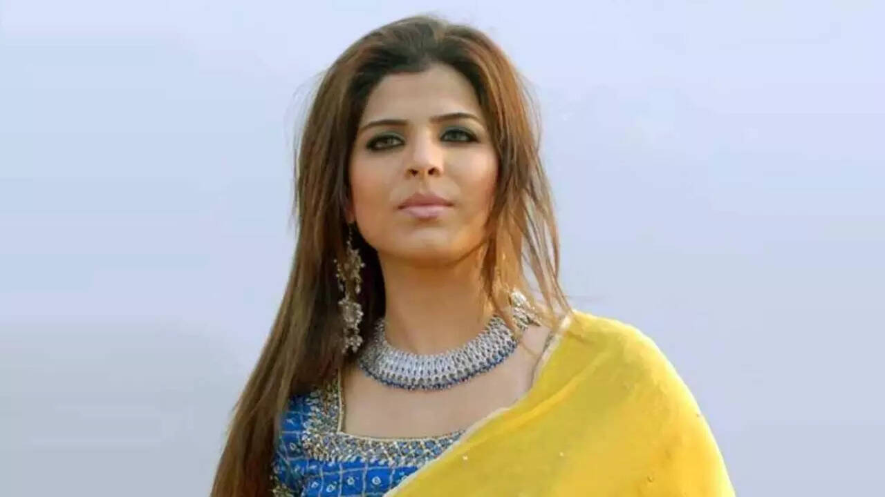 Laila linked to terror activities before disappearance