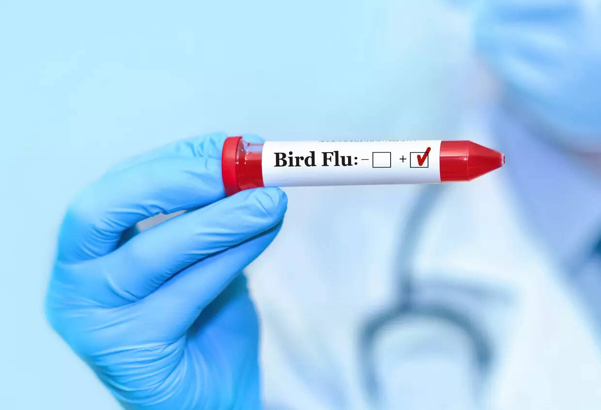 Bird flu virus likely mutated within Louisiana patient: CDC