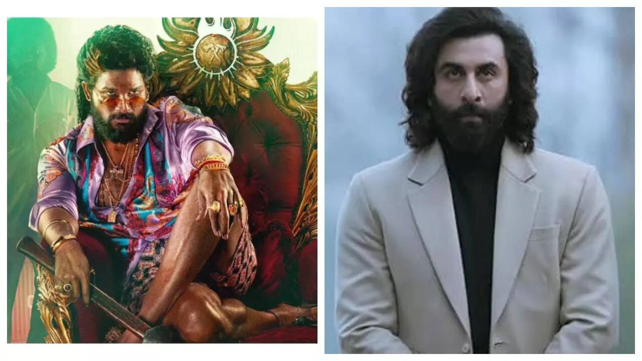 Pushpa 2 beats Ranbir Kapoor’s Animal in North America; turns profitable