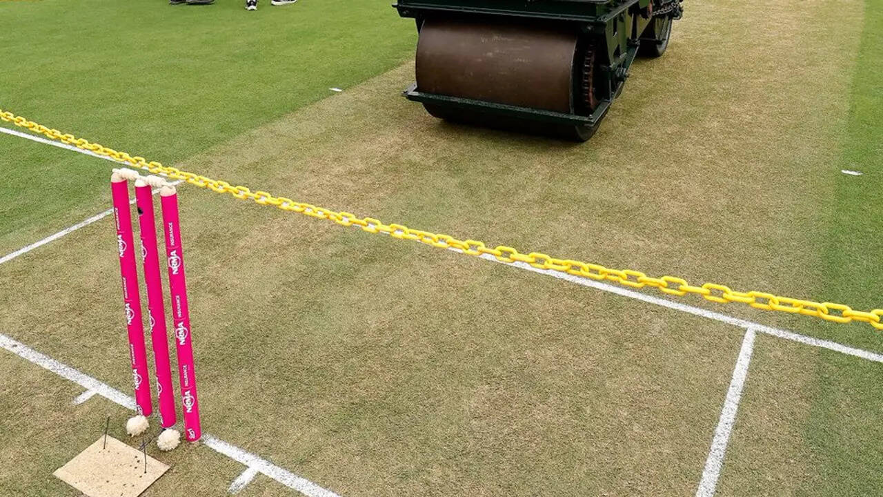 'No former Indian player has complained of grass on SCG pitch'