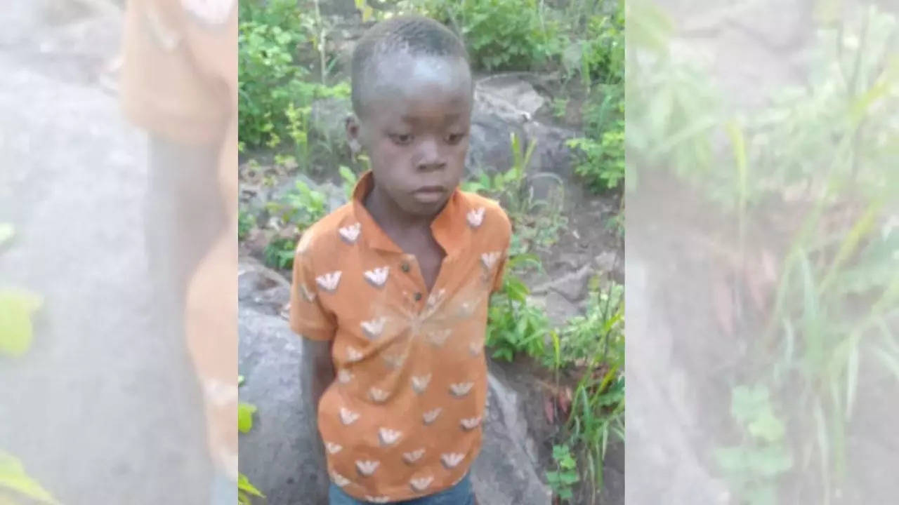 'True miracle': 8-year-old survives 5 days in Zimbabwe park filled with dangerous animals